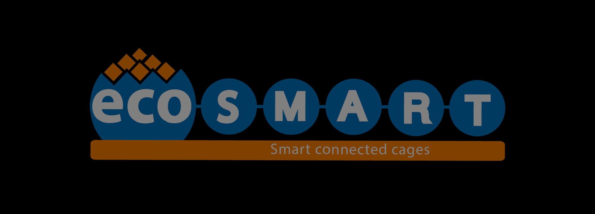 EcoSmart