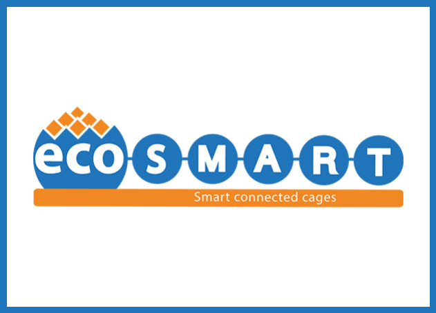 EcoSmart