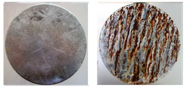 Jaula electrogalvanizada